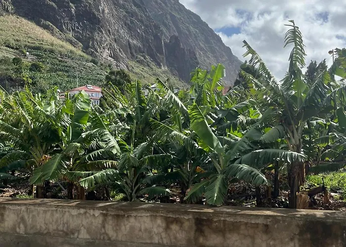 Апартаменты Blue Sea *